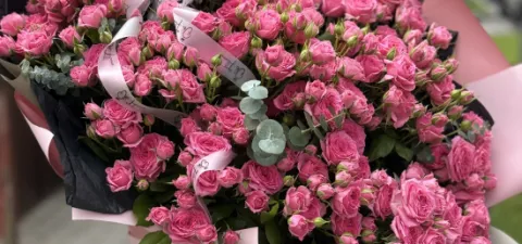 Самый популярный цветок 2025 года ПИОНОВИДНЫЕ розы