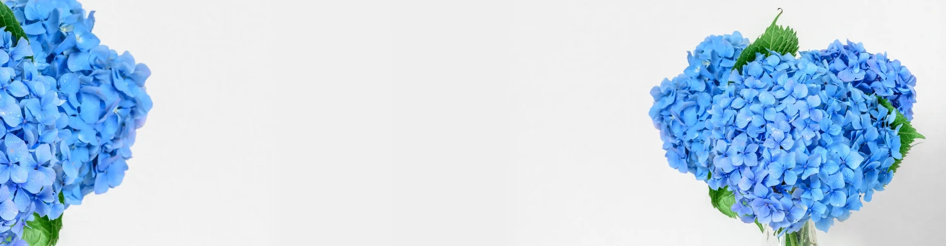 ФОТО БУКЕТА