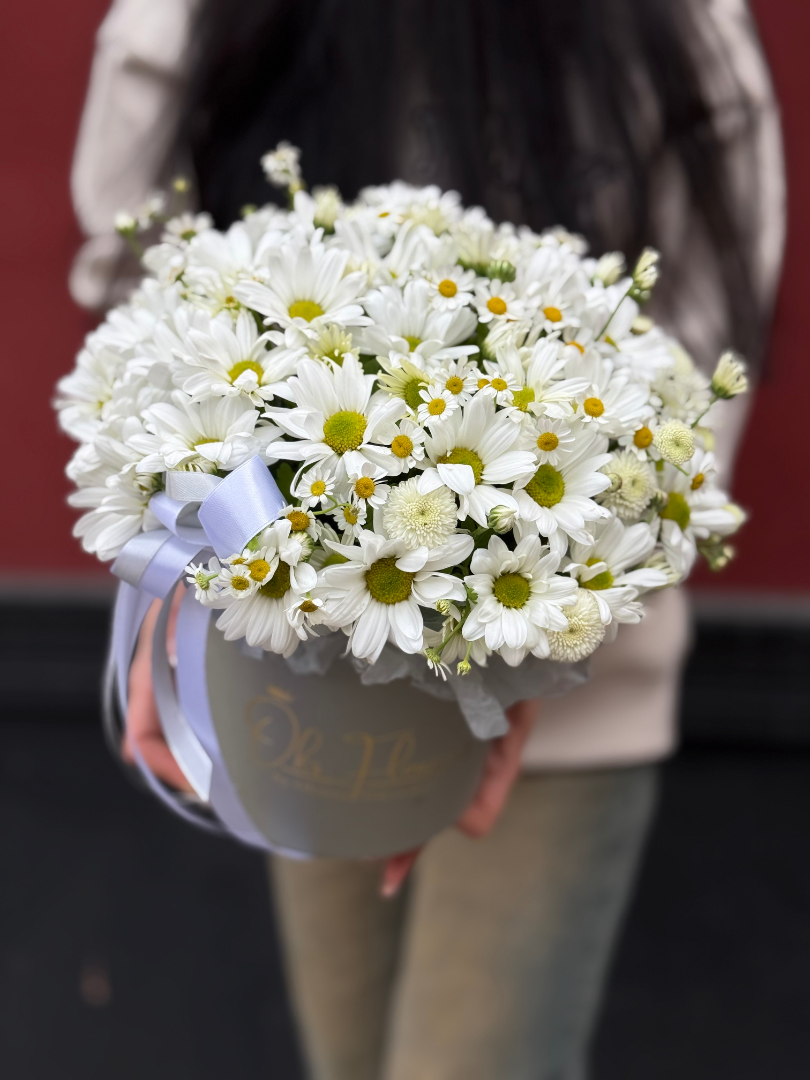 Коробка с ромашками «Белоснежный Свет» от интернет-магазина цветов в 