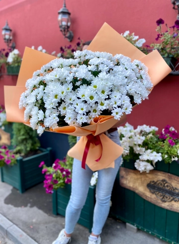 Букет из 21 хризантемы «Белоснежный Луг» от интернет-магазина цветов в 