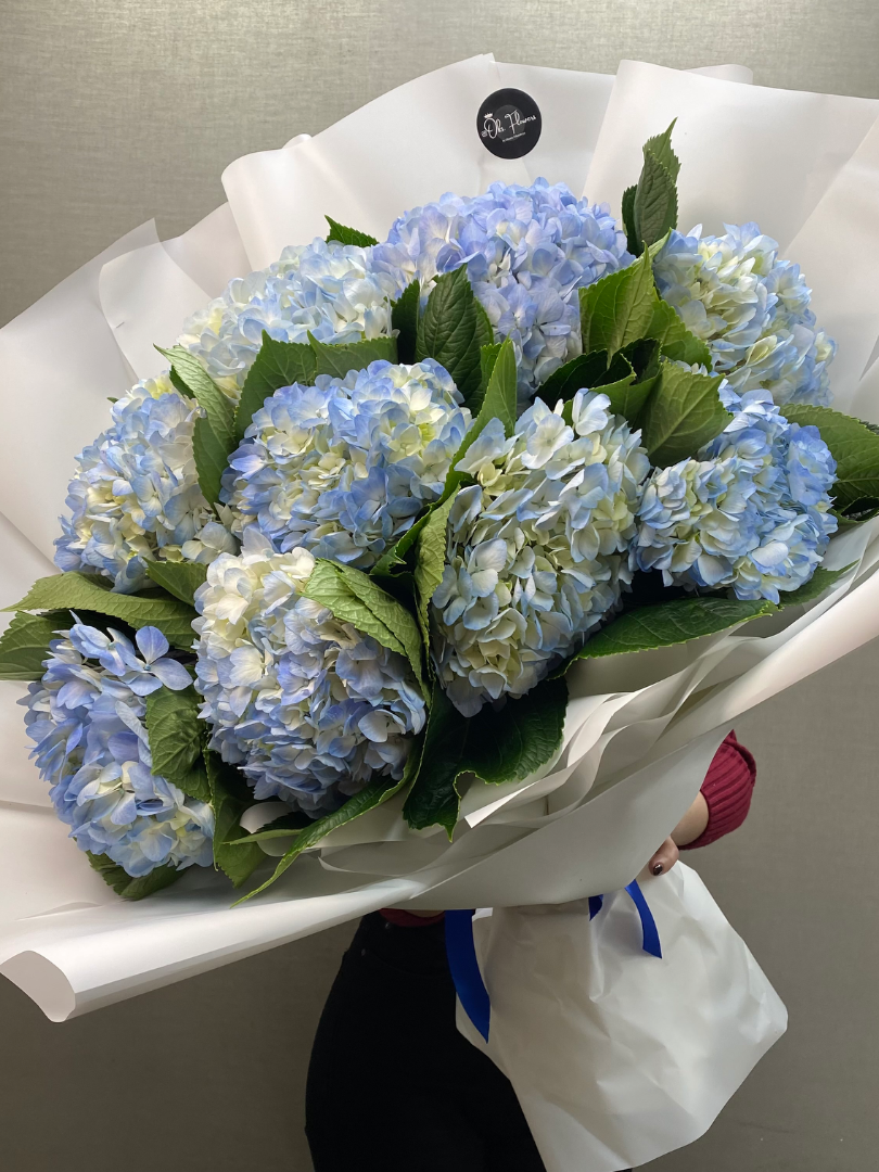 Букет из гортензии «Вздох» от интернет-магазина цветов в 