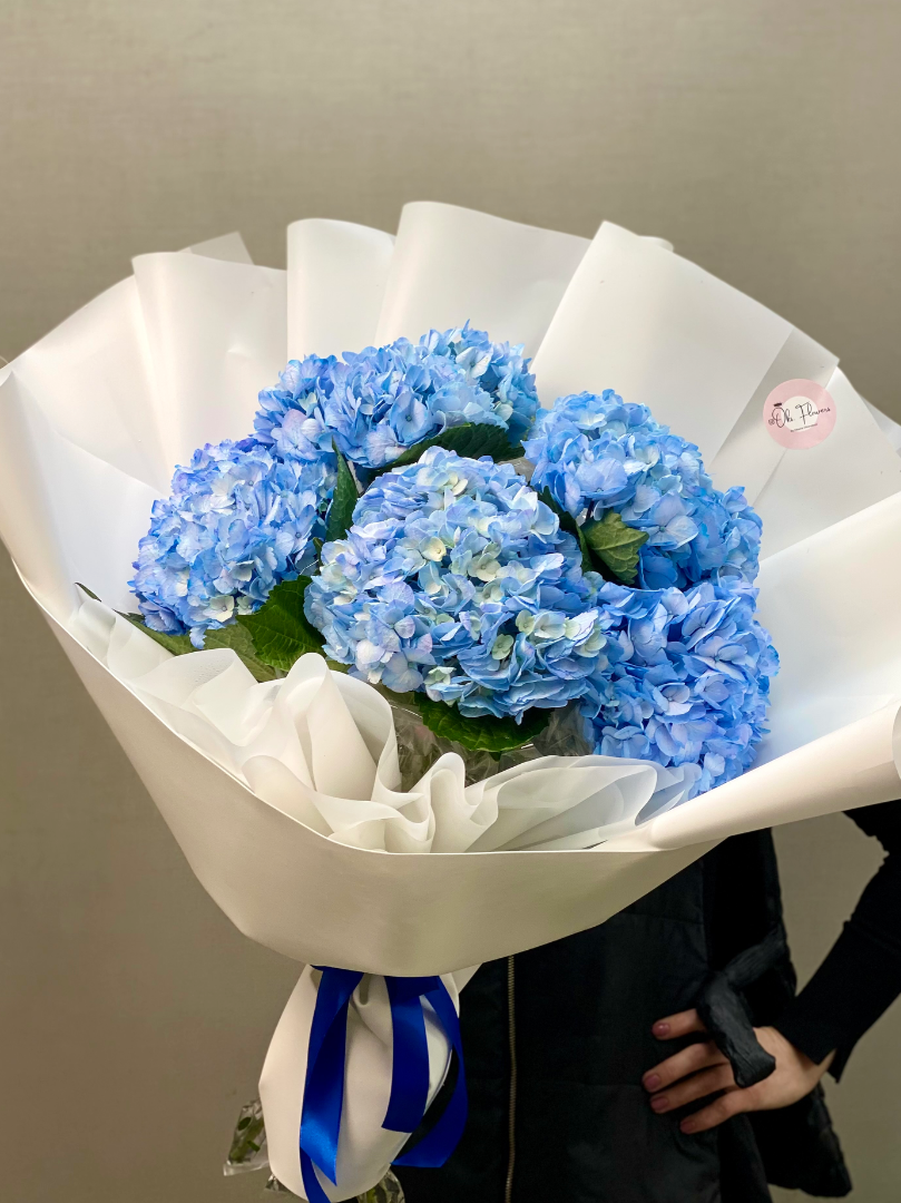 Букет из 7 гортензий от интернет-магазина цветов в 
